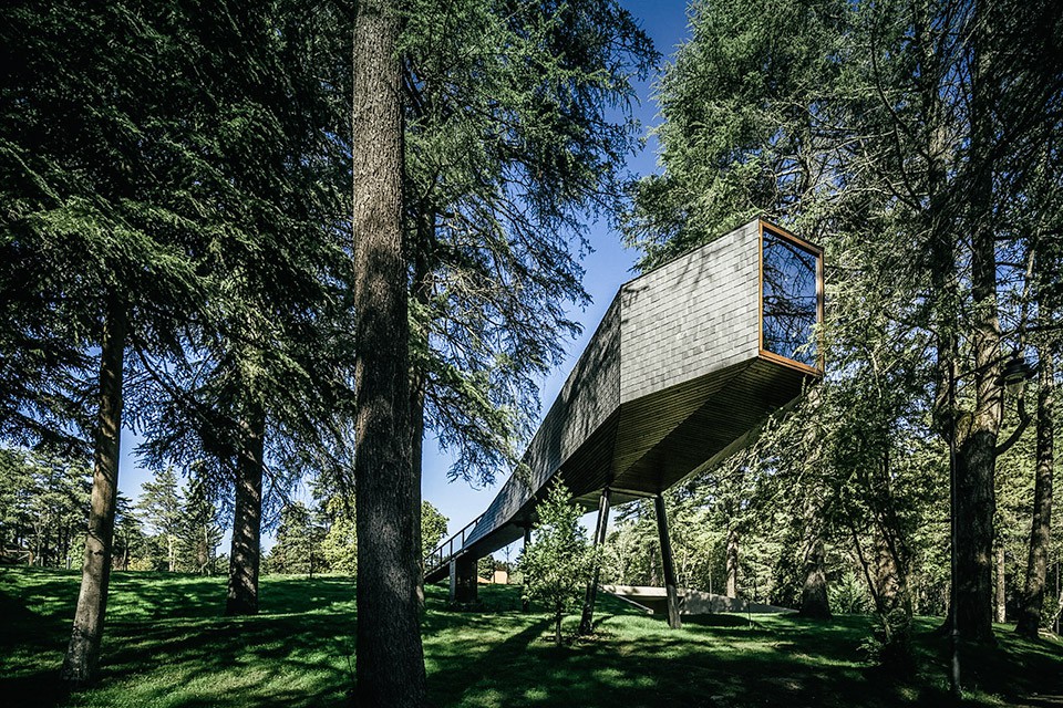 TREE House Architecture