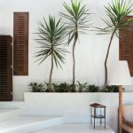 minimalist garden design tips, Design im Garten, Aussenarchitektur, Gartendesign